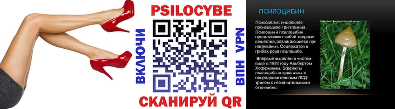 Галлюциногенные грибы Magic Shrooms  купить  цена  Темников 